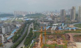 玉林中鼎房产爆料事件视频,揭露行业乱象背后的真相