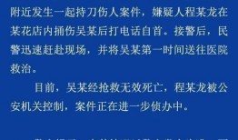 丹东凤城爆料案件最新情况,案情揭秘，疑云逐步揭开